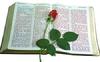 la Biblia