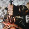 La Pasion de Cristo